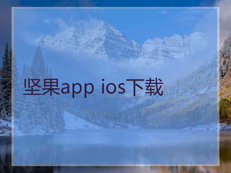 坚果app ios下载