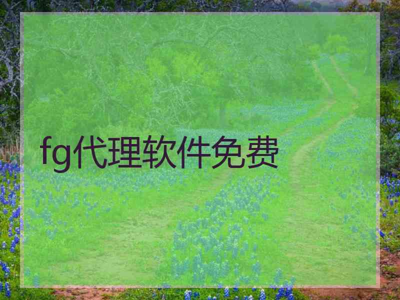 fg代理软件免费