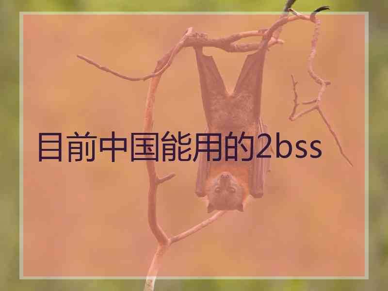 目前中国能用的2bss