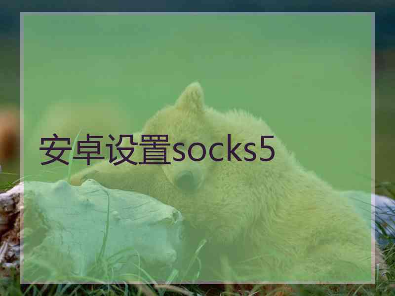 安卓设置socks5