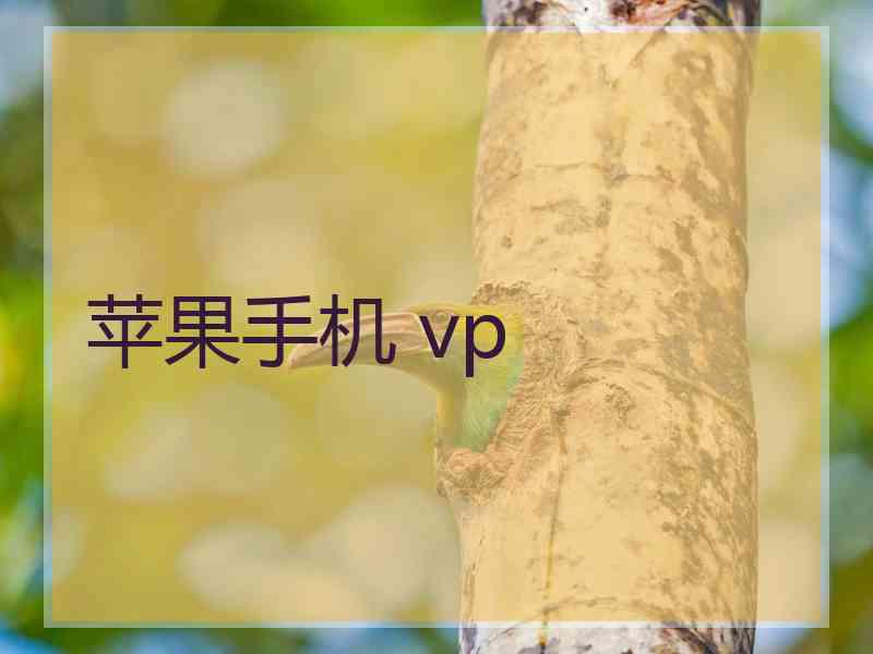 苹果手机 vp