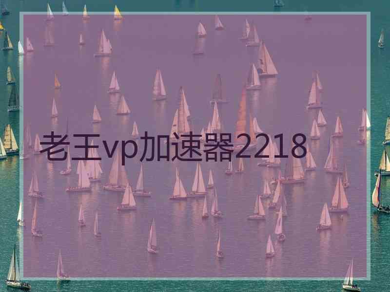 老王vp加速器2218