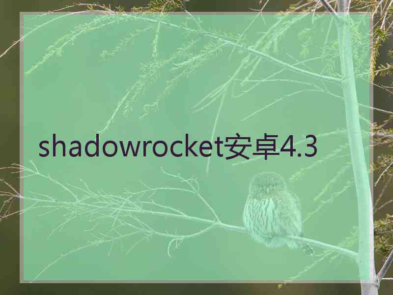 shadowrocket安卓4.3