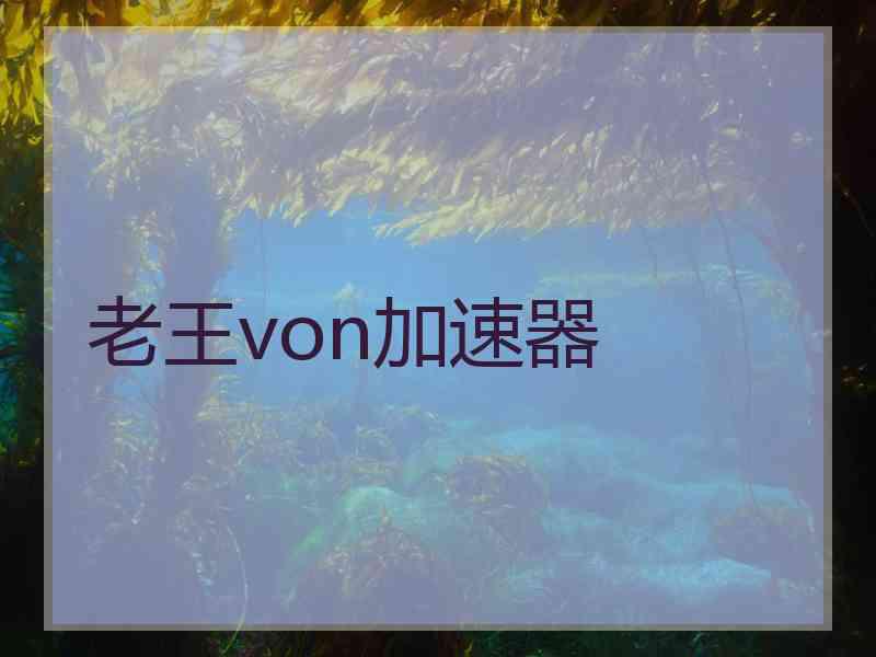 老王von加速器