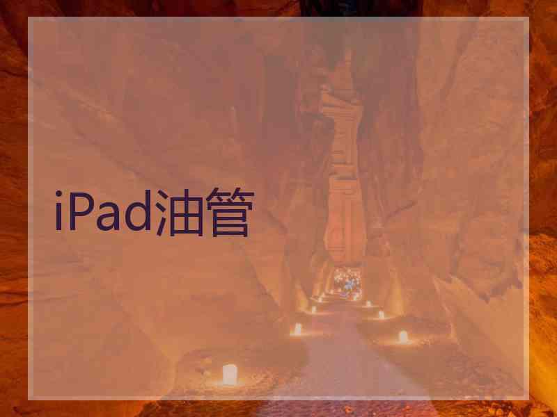 iPad油管