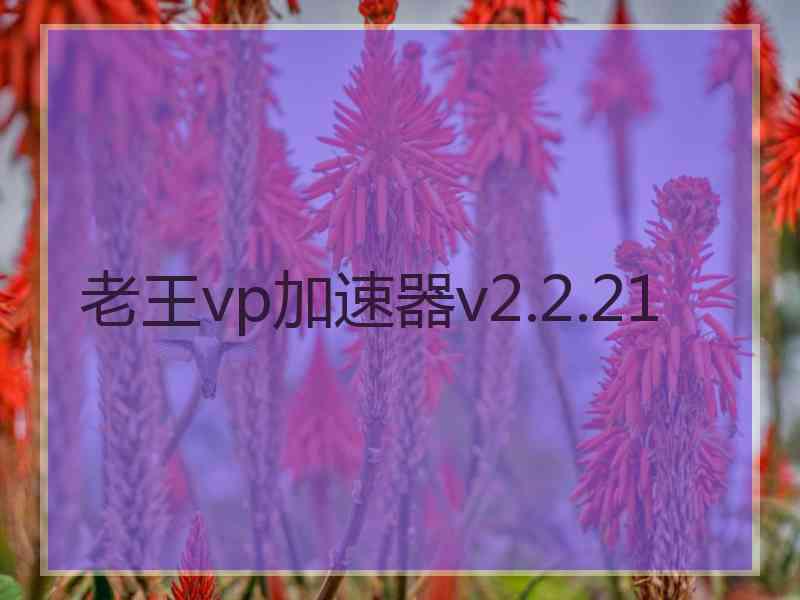 老王vp加速器v2.2.21