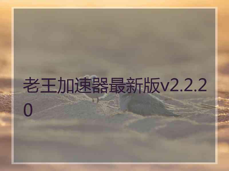 老王加速器最新版v2.2.20