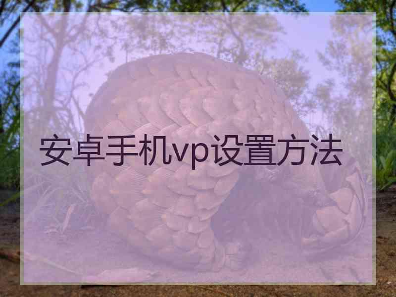 安卓手机vp设置方法