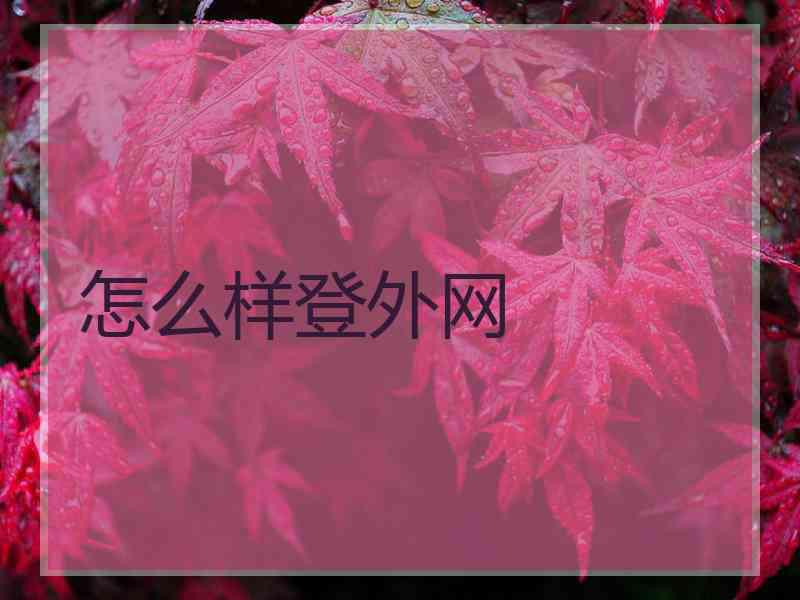 怎么样登外网